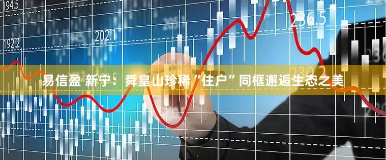 易信盈 新宁：舜皇山珍稀“住户”同框邂逅生态之美