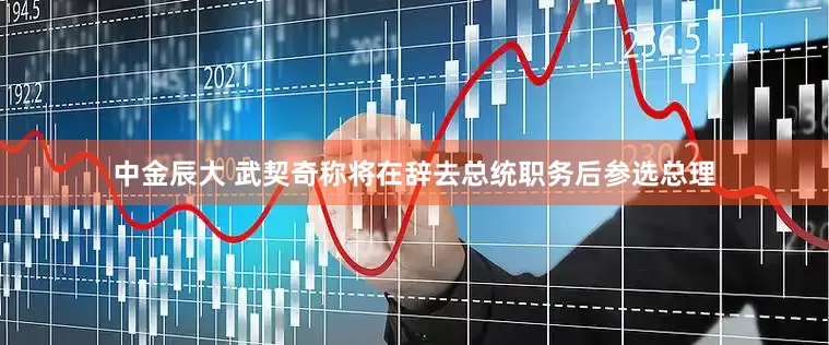 中金辰大 武契奇称将在辞去总统职务后参选总理