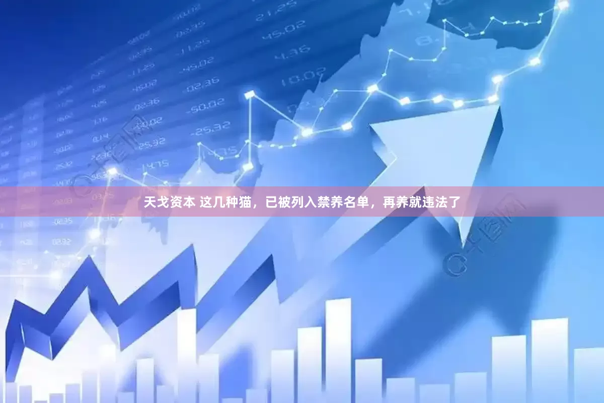 天戈资本 这几种猫，已被列入禁养名单，再养就违法了